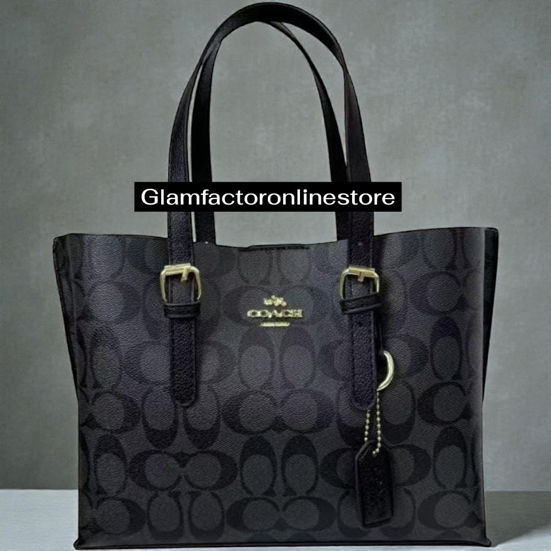 Coach Mollie 25 Tote