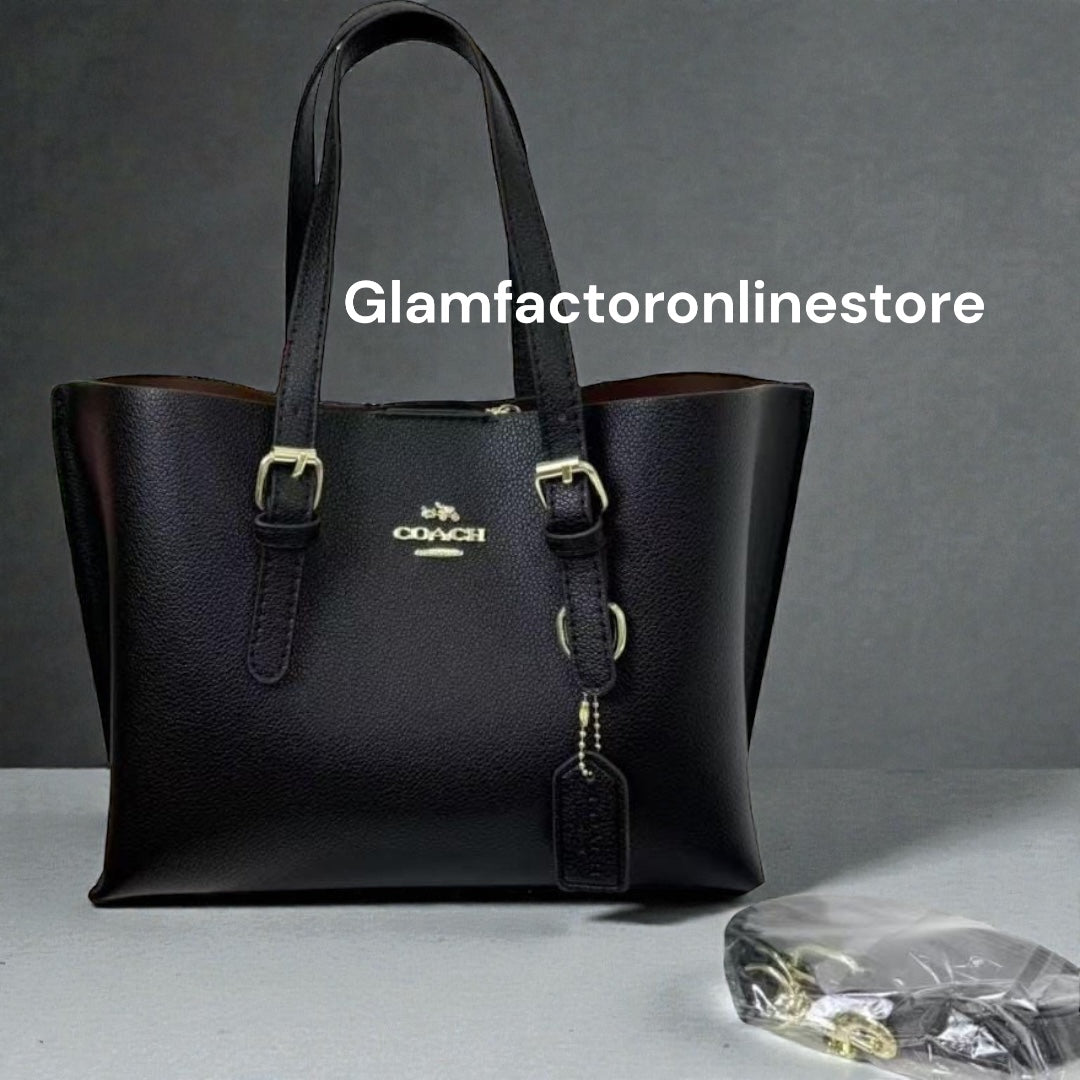 Coach Mollie Tote 25