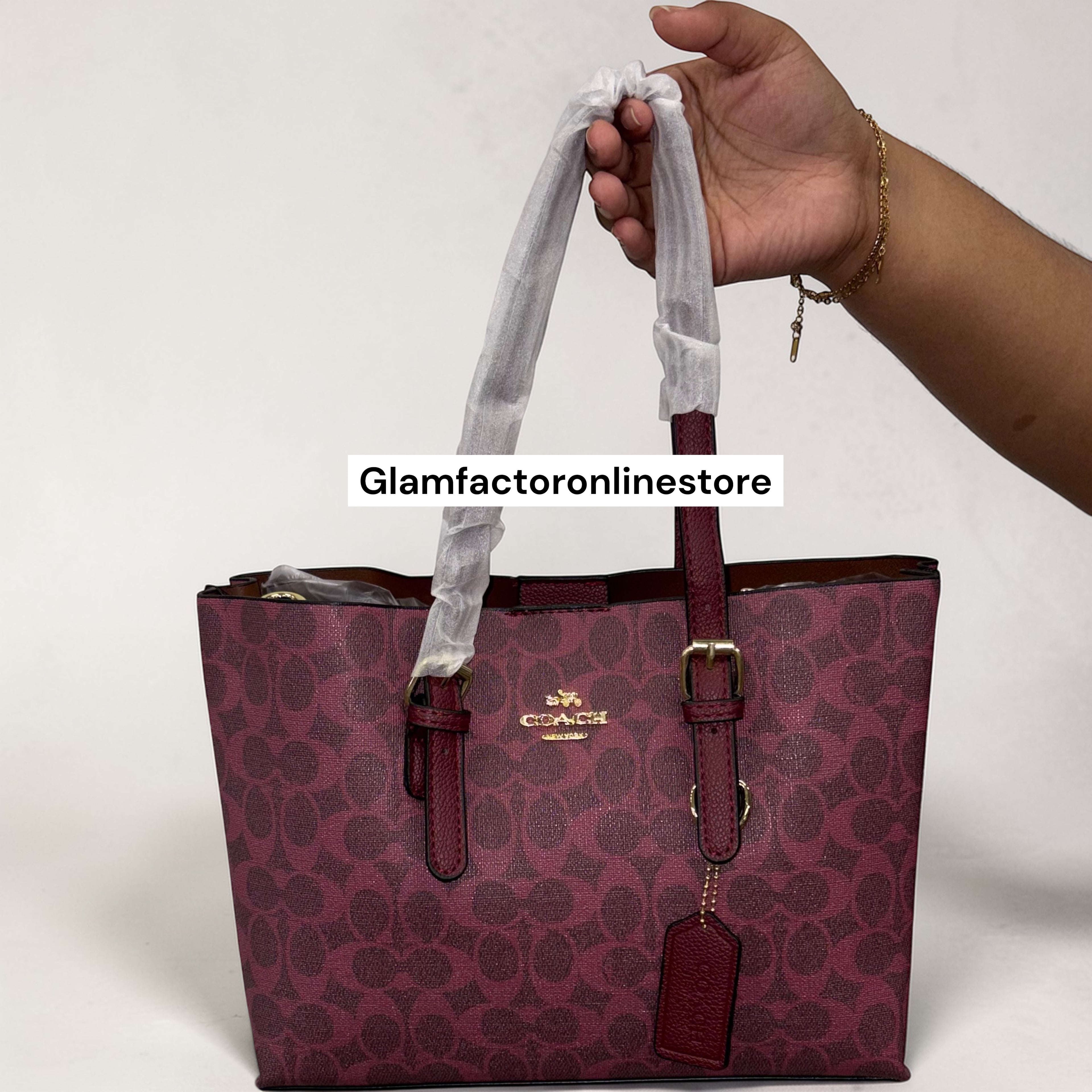 Coach Mollie Tote 25