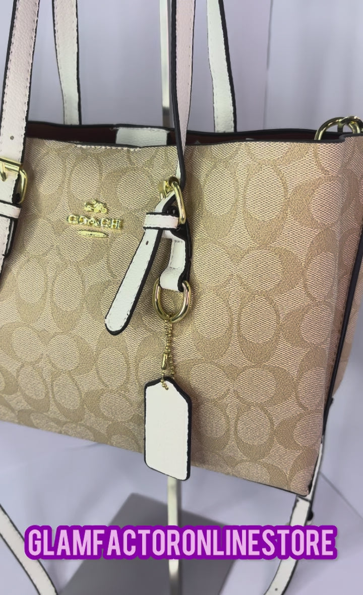 Coach Mollie Tote 25